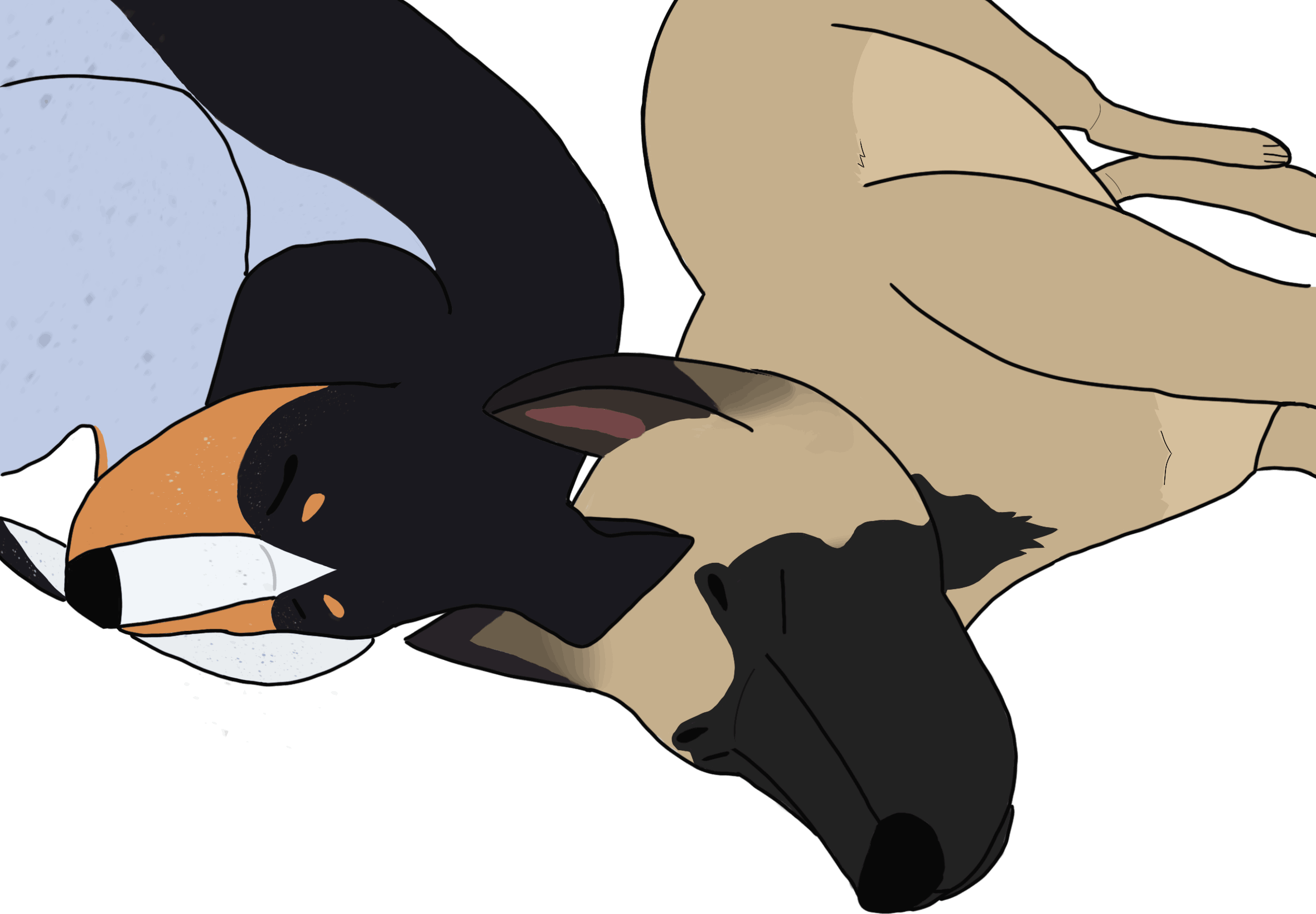 Reference sheet by Soren